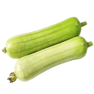 牛奶白丝瓜种子高产肉丝瓜种早熟阳台盆栽菜园春秋四季播蔬菜种孑