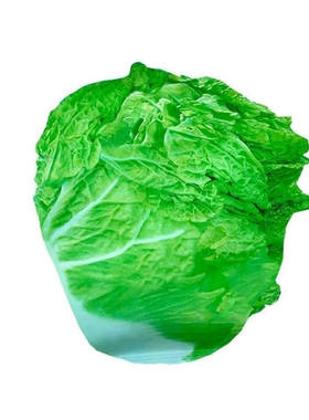 冬储大白菜种籽山东大白菜冬储大白菜多叶白菜新鲜蔬菜