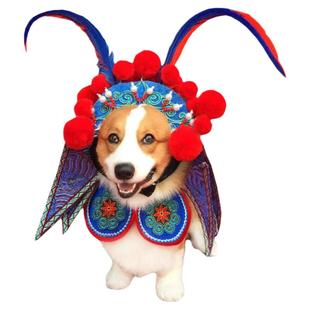 宠物变身装狗狗猫咪刀马旦服装边牧柯基法斗新年猫衣搞笑搞怪衣服