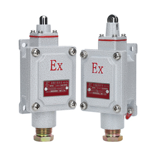 防爆行程开关dLXK LX5- Z/L/B/D/H/N型IIBT6/IICT6级防爆限位开关