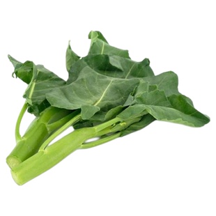 甜脆鸡腿芥兰种子芥蓝露天种植春季夏秋冬四季播盆栽种籽广东菜籽