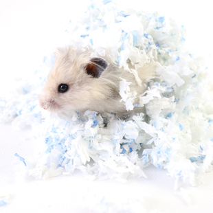 仓鼠纸棉RM无尘加倍吸水保暖防臭垫料龙猫豚鼠金丝熊仓鼠纸木屑