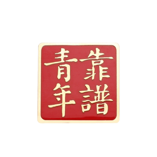新语文化 靠谱青年逢考必过徽章共青团学生用胸章磁扣式红色新版团员用品青年团纪念徽章装饰礼品毕业 团宝汇