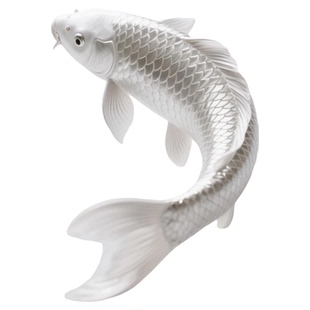 纯种耐寒白金锦鲤冷水观赏鱼易存活纯种锦鲤鱼苗鱼缸好养起运组合