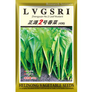 和利农 正源2号春菜种子四季小白菜种籽阳台盆栽小青菜蔬菜种孑