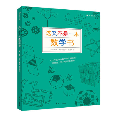 浪花朵朵现货 这又不是一本数学书 数学教师安娜·韦尔特曼的新作 9岁以上益智 思维训练 浪花朵朵童书