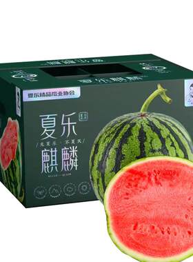 夏乐西瓜6-8斤二茬新鲜上市