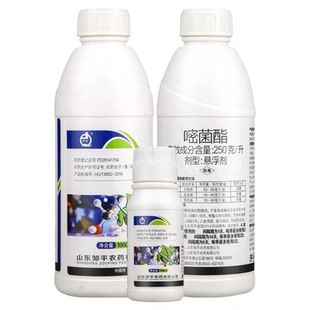 邹平农药清佳250克/升嘧菌酯大姜炭疽病芦笋茎枯病黄瓜白粉病杀菌