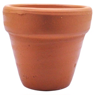 鱼缸水草定植器天然水草盆水草杯鱼虾躲避洞生态造景小花盆拇指杯