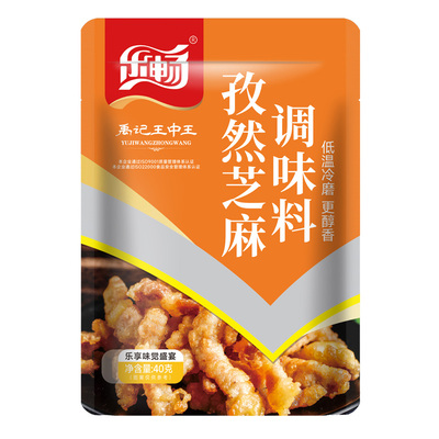 乐畅孜然芝麻调味料40g 商超同款 空气炸锅调料 烧烤蘸撒料烤肉串