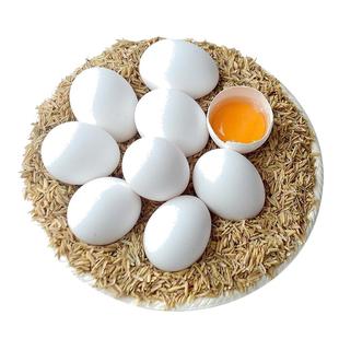 正宗乌鸡蛋 食用泰和白凤乌鸡蛋新鲜农家散养富硒笨草 土鸡蛋30枚
