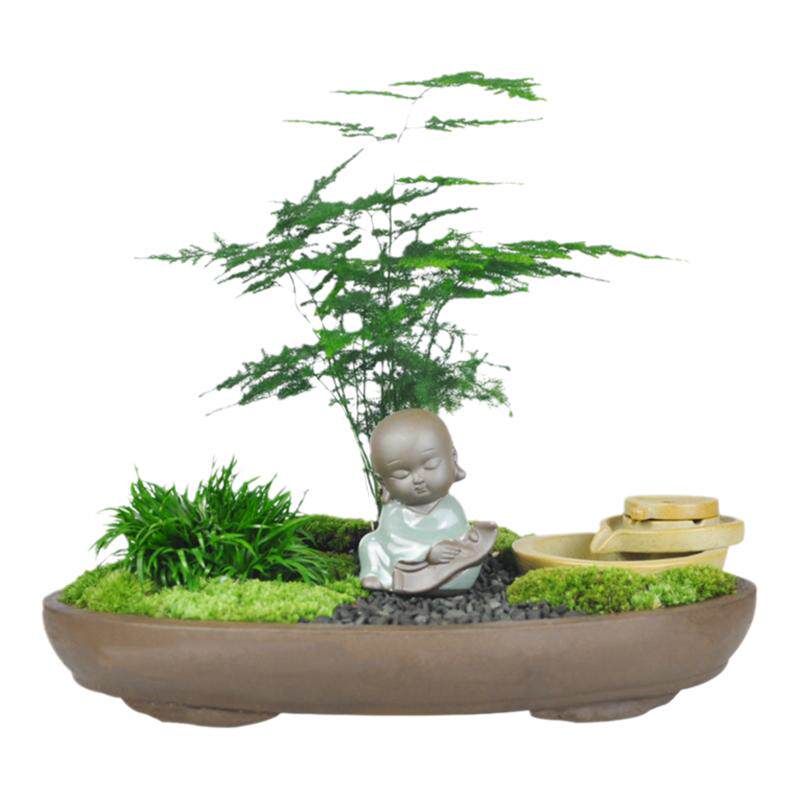绿植创意diy禅意桌面盆栽