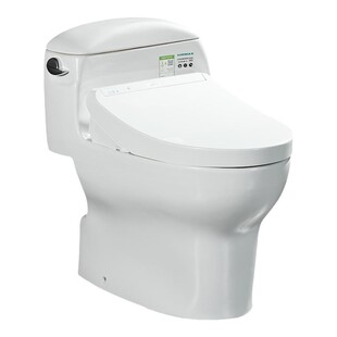 【补贴15%】TOTO智能马桶CW988+3M460即热抗菌卫洗丽连体坐便器