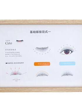 睫毛展示架专睫毛业睫毛展示架