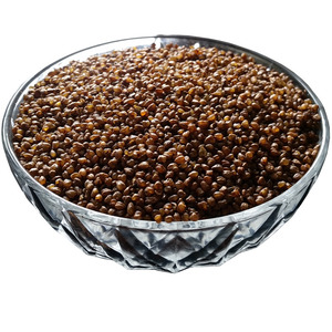 黑苦荞米 大凉山黑苦荞麦米五谷杂粮粥荞麦仁粗粮营养1800g正宗