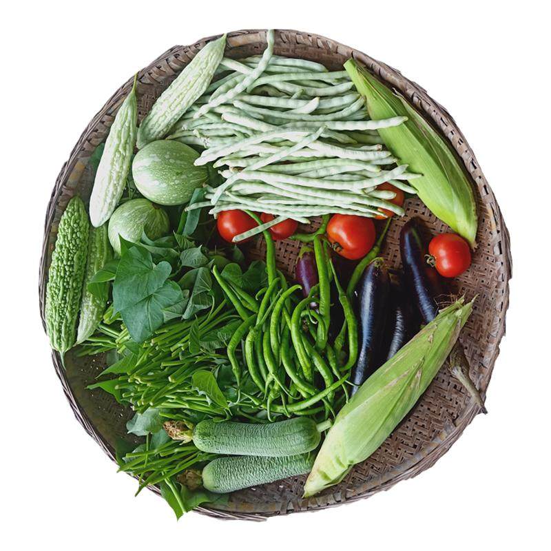 农家新鲜蔬菜黄瓜豇豆辣椒组合