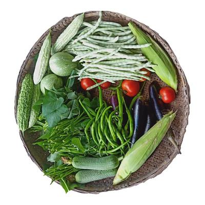 农家新鲜蔬菜黄瓜豇豆辣椒组合