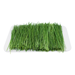 2025年新草烘干提摩西草北提草段6A兔子龙猫土拨鼠主草牧草500g