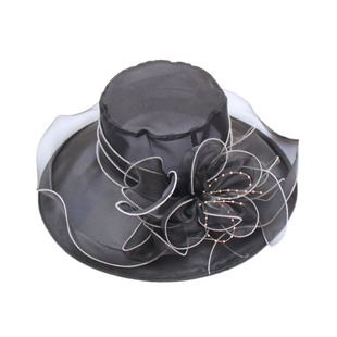 女夏欧根纱防晒遮脸沙滩帽可折叠太阳帽子出游百搭防紫外线遮阳帽