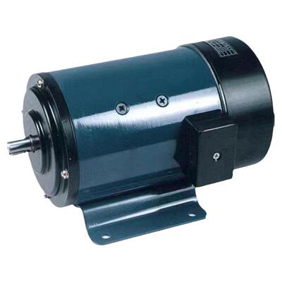 110SZ直流伺服电机220V  48V185W-308W1500r-3000r 可定制