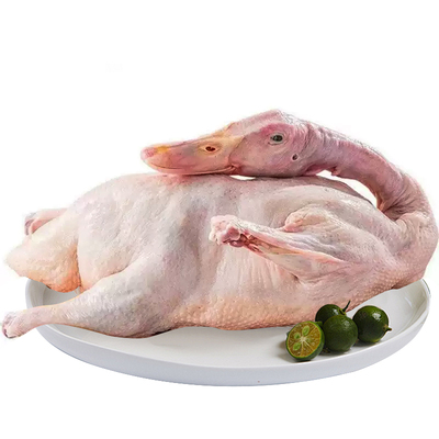 驰雁飞鸭10斤土鸭子整只老鸭肉