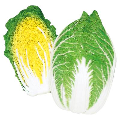 蔬菜种子大白菜水果莴笋心里美