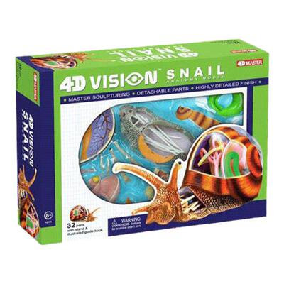 4DMASTER益智玩具儿童生物教具动物蜗牛解剖构造拼装模型手工摆件