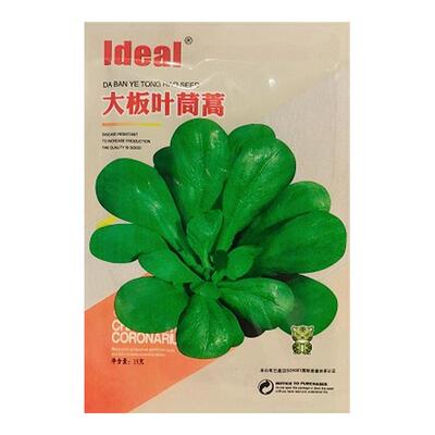 大板叶茼蒿种子光杆茼蒿种籽四季蔬菜种子阳台庭院大叶茼蒿种子