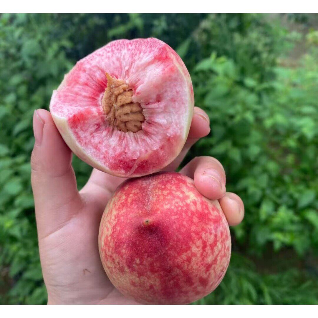 贵州新鲜百花桃贵州特产正宗应季血桃红心桃子白花桃