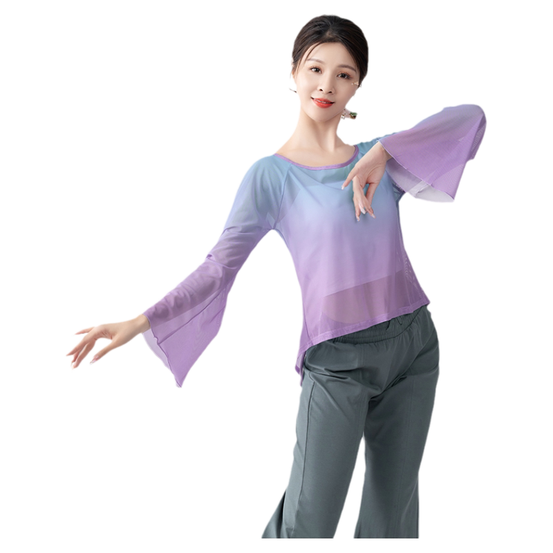 古典舞蹈服女飘逸纱衣身韵练功仙气上衣中国风现代舞宽松网纱长袖