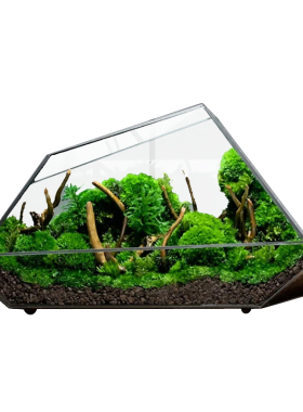 玻璃微景观生态瓶苔藓闷养水陆缸