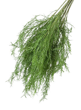 森系仿真绿植绿色仿真花芦苇草