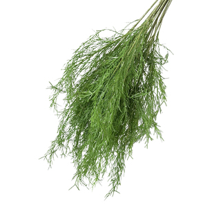 婚庆仿真绿植新款花材吊顶花芦荀草绢花布置婚礼插花花艺绿叶假花