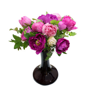 菏泽牡丹芍药鲜切花花束年宵花重瓣优质观赏水养插花基地直发礼品