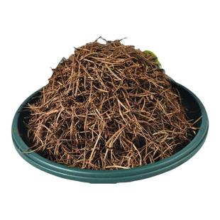 纯松针土君子兰专用通用型蓬松透气发酵腐殖营养土疏松腐叶酸性土