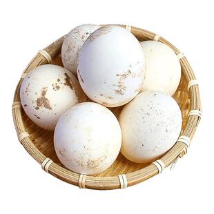 耕果妙新鲜鹅蛋12枚农家散养鹅蛋孕妇大个正宗土鹅蛋 年货礼盒