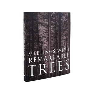 森林大树风景英文样板间真书装饰品摆件软装书籍摆件拍照摄影道具