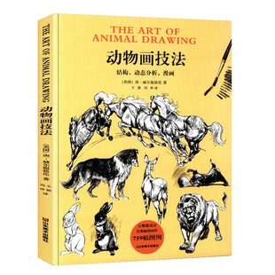 动物画技法 结构动态分析漫画 庚赫尔脱格伦 迪士尼动漫艺术零基础学生绘画临摹技法要诀教程素描图例大全兽类野生动物形体