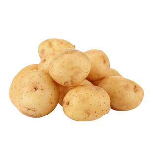 黄皮黄心土豆种孑带芽原种四季浙江大马铃薯种籽秋季高产种子10斤