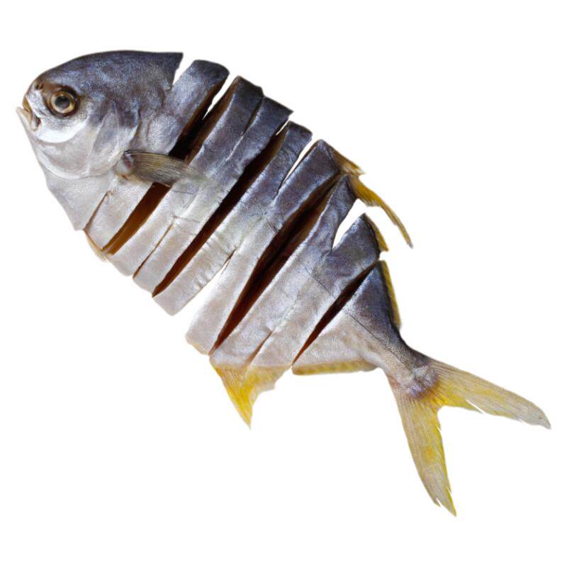 顺丰湛江金鲳鱼半干淡口银鲳金昌鱼金仓鱼黄特鲳海产干货黄立鲳鱼