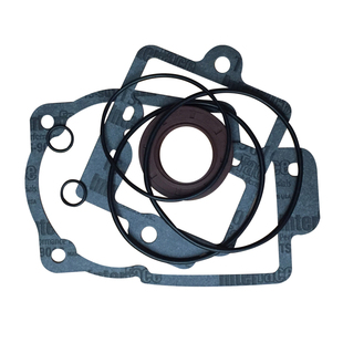 莱宝真空泵密封套件SV100B SV300 SV630B SV1200垫片O型圈油轴封