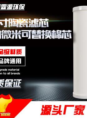 家用净水器10寸直饮机滤芯可反复擦洗净水机通用滤芯硅藻土陶瓷芯