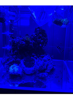 海缸膜海水缸珊瑚缸过滤蓝光海缸
