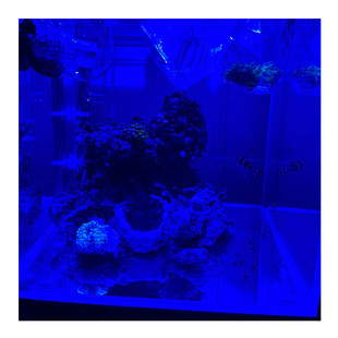 海缸膜海水缸珊瑚缸过滤蓝光海缸贴膜去蓝光膜拍照滤镜海缸玻璃膜