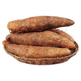 【3斤】精品正宗云南特产高原红土灵芝山药新鲜糯米山药当季蔬菜