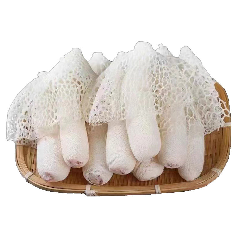 野生新鲜竹荪火锅煲汤食材500g