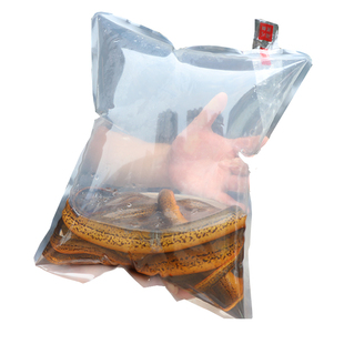 顺丰空运包邮 鳝鱼 黄鳝2斤土货鲜活发货