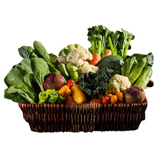 云南有机蔬菜新鲜组合自选套餐无农残青菜当季采摘叶菜沙拉菜包月