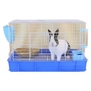 兔笼兔子笼小号大号特大号养殖专用室外室内家用带隔断宠物笼子
