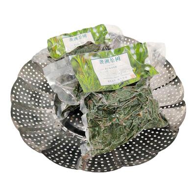 澳洲茶树纯露精油原材料精选嫩叶